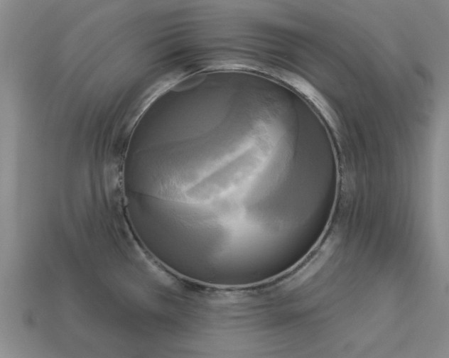 X0000113301385200910051033