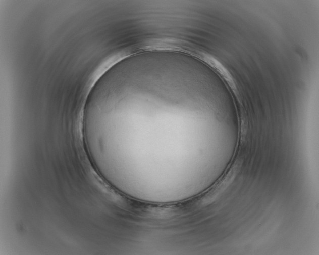 X0000113301386200910051033