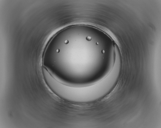 X0000113301388200910051033