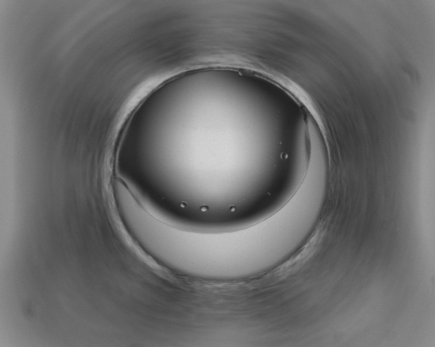 X0000113301389200910051033