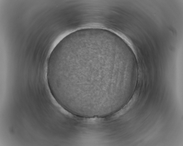 X0000113301390200910051033