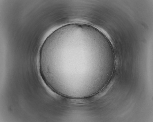 X0000113301391200910051033