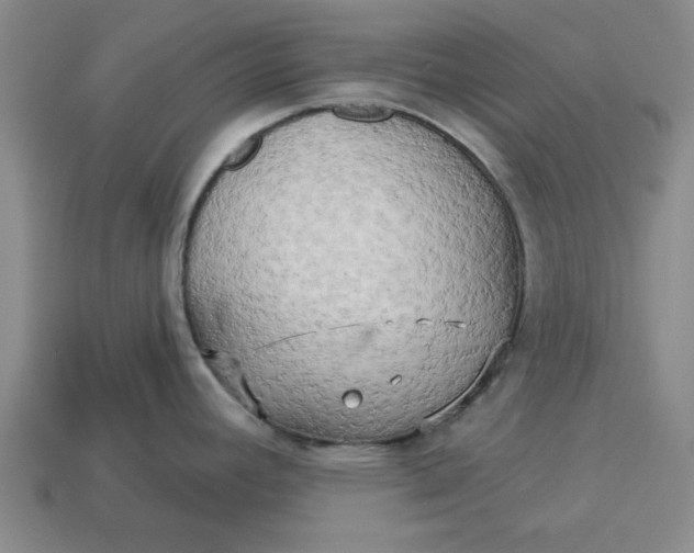 X0000113301392200910051033