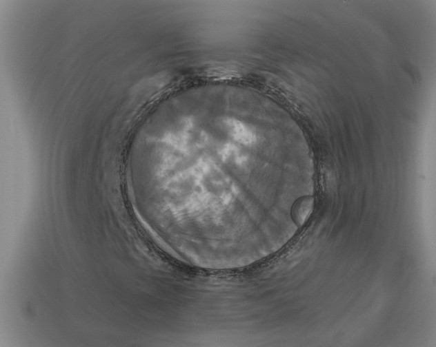 X0000113301393200910051032