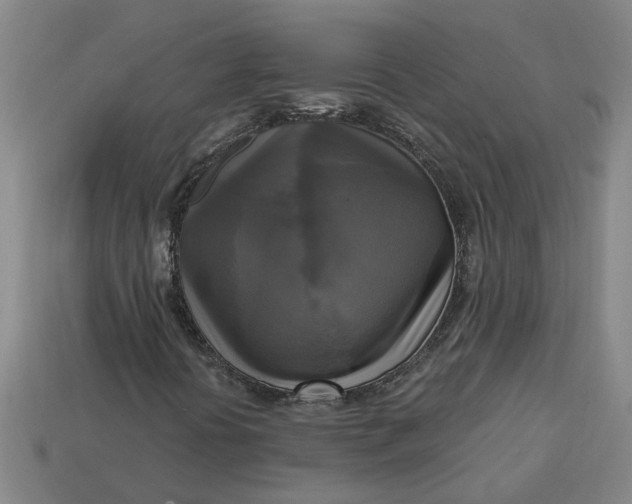 X0000113301394200910051032