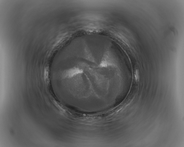 X0000113301396200910051032