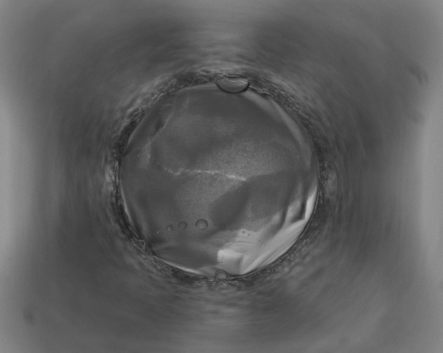 X0000113301397200910051032