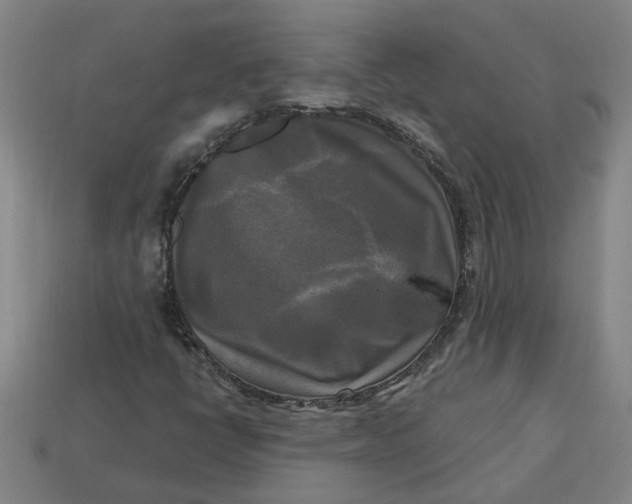 X0000113301398200910051032