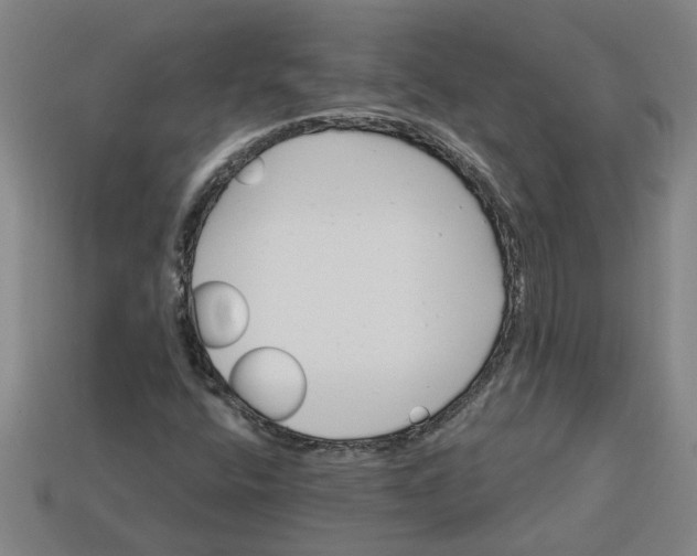 X0000113301400200910051032