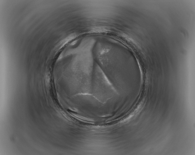 X0000113301401200910051032