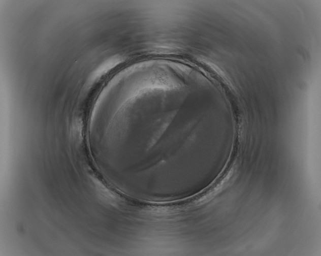 X0000113301402200910051032