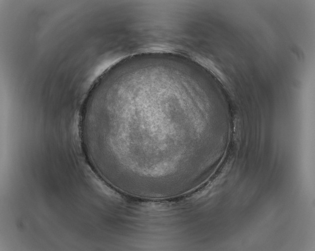 X0000113301404200910051032