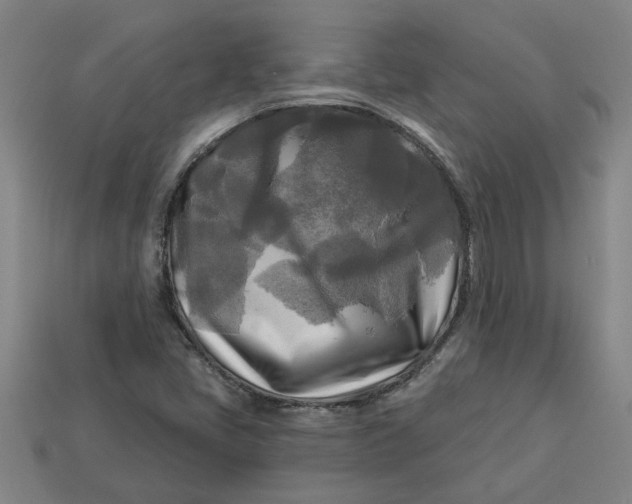 X0000113301405200910051033