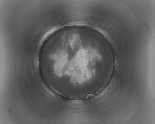 X0000113301406200910051033