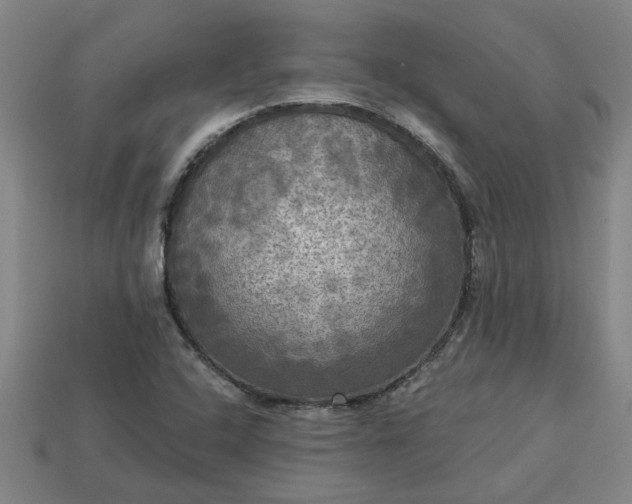 X0000113301408200910051033