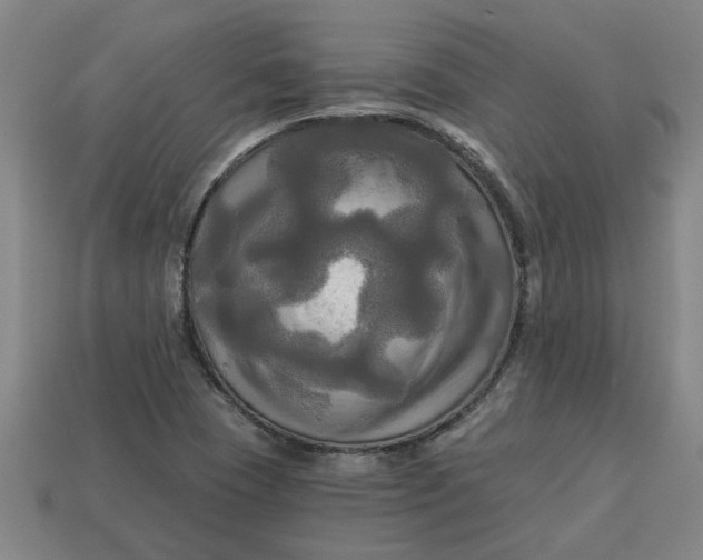 X0000113301409200910051033