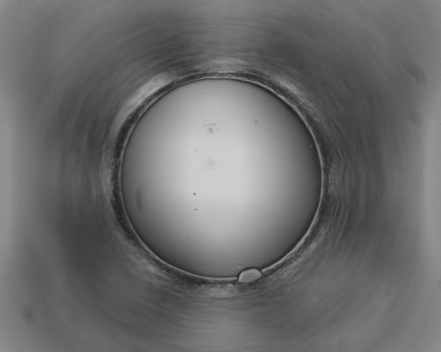 X0000113301410200910051033