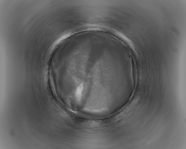 X0000113301411200910051033