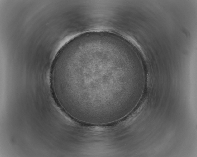 X0000113301412200910051033