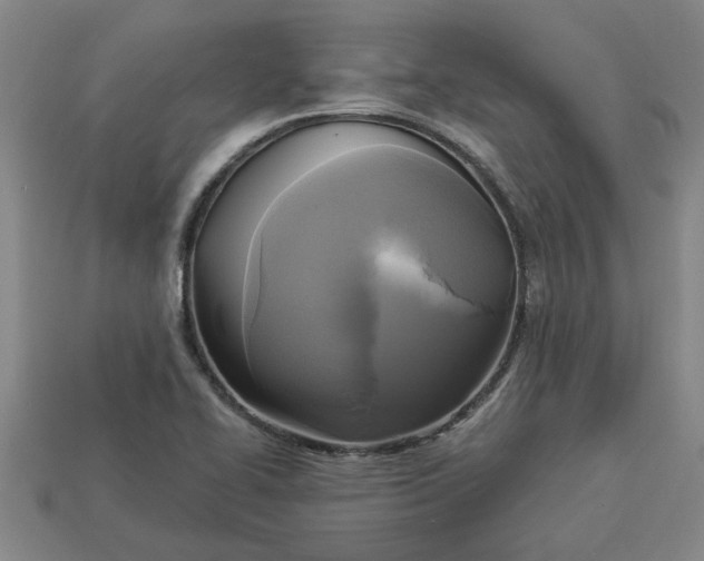 X0000113301414200910051033