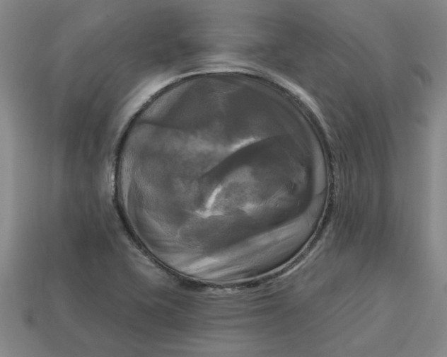 X0000113301415200910051033