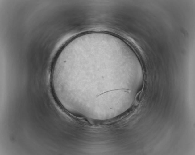 X0000113301416200910051033