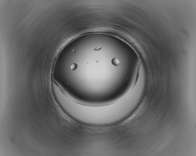 X0000113301417200910051033