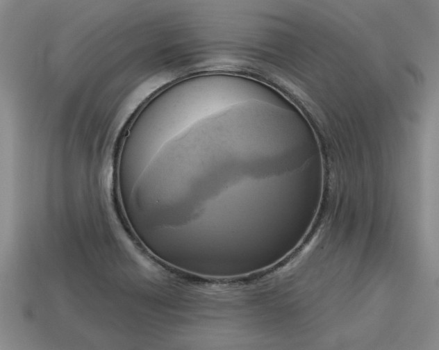 X0000113301418200910051033