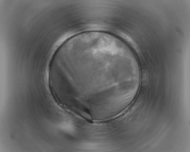 X0000113301419200910051033