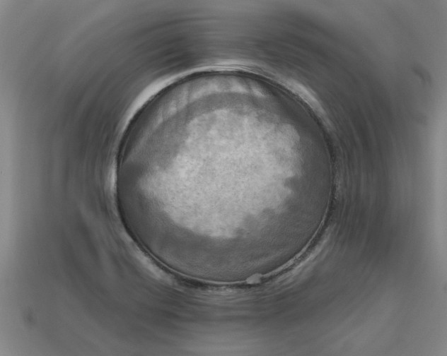 X0000113301420200910051033