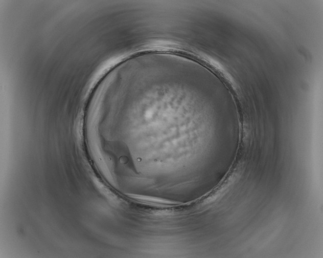 X0000113301421200910051033