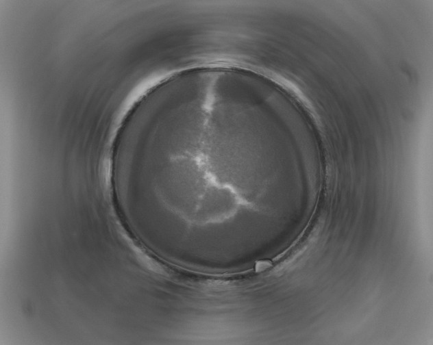 X0000113301424200910051033