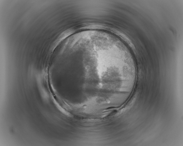 X0000113301425200910051033