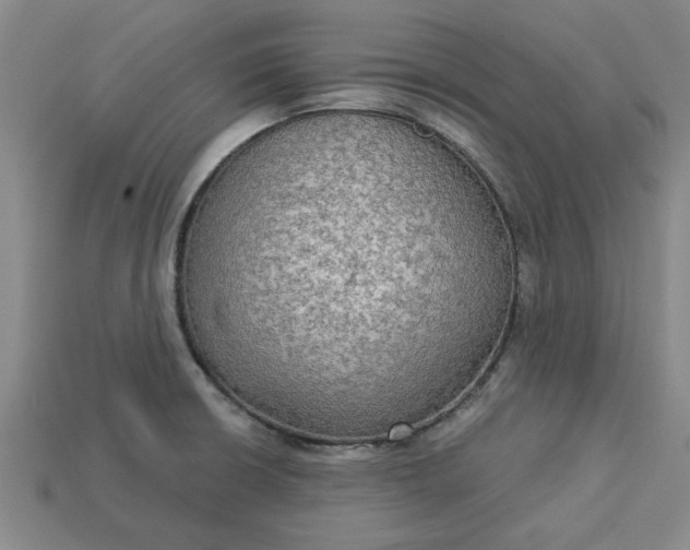 X0000113301426200910051033