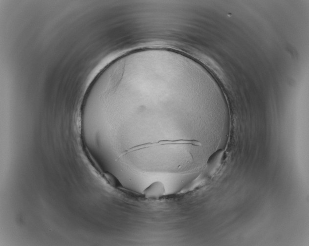 X0000113301428200910051033