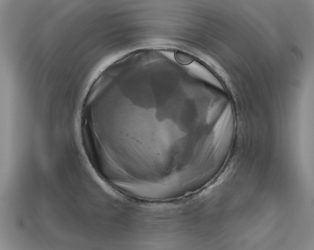 X0000113301429200910051033