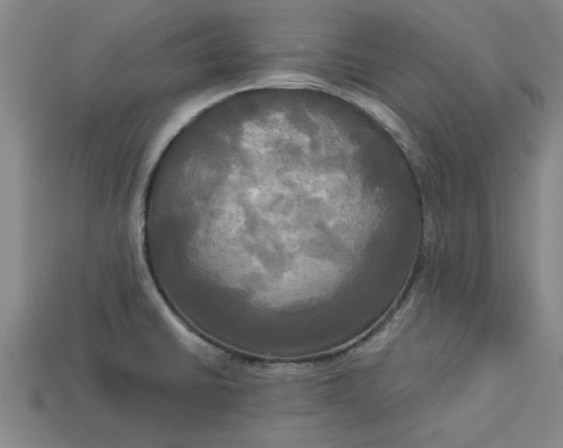 X0000113301430200910051033