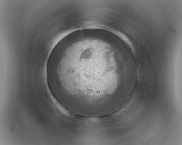 X0000113301431200910051033