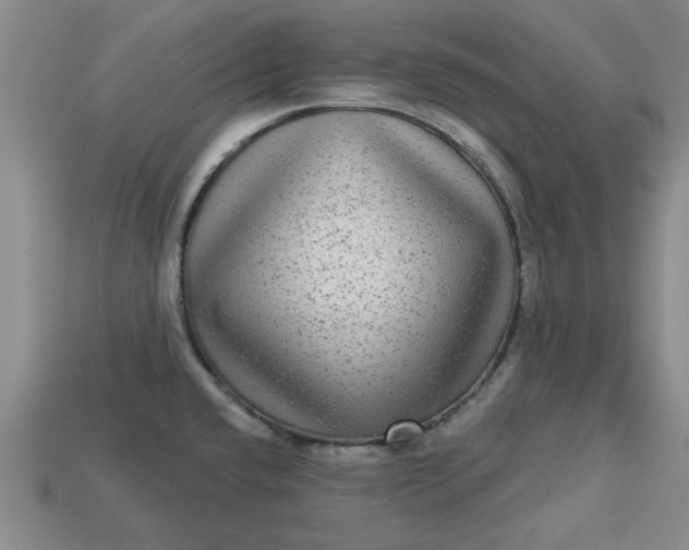 X0000113301432200910051033