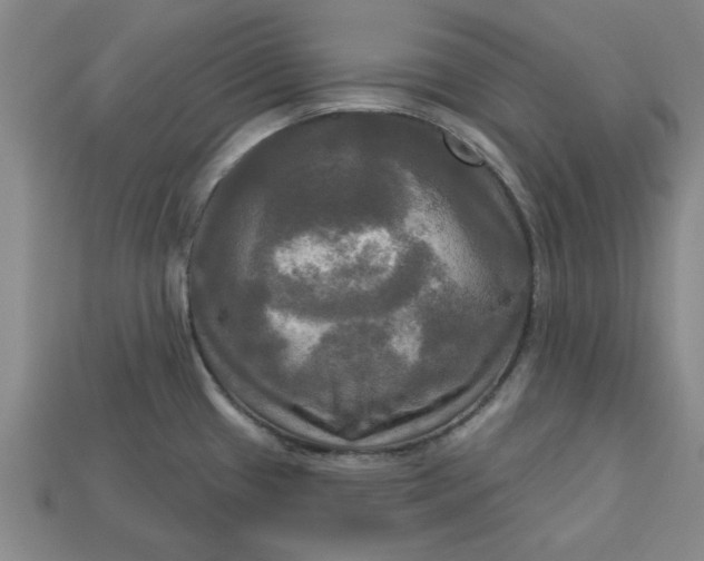 X0000113301433200910051033