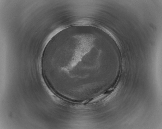 X0000113301434200910051033