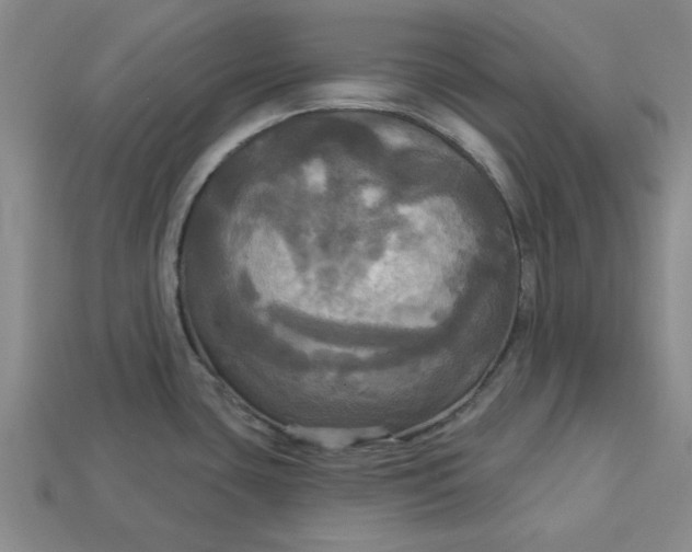 X0000113301435200910051033