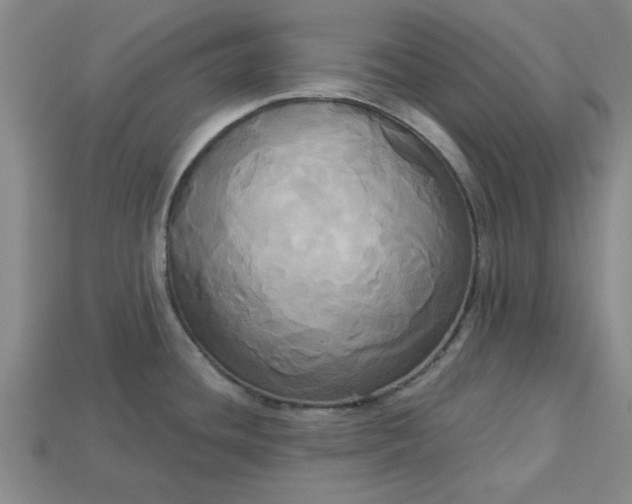 X0000113301436200910051033