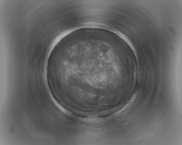 X0000113301437200910051033