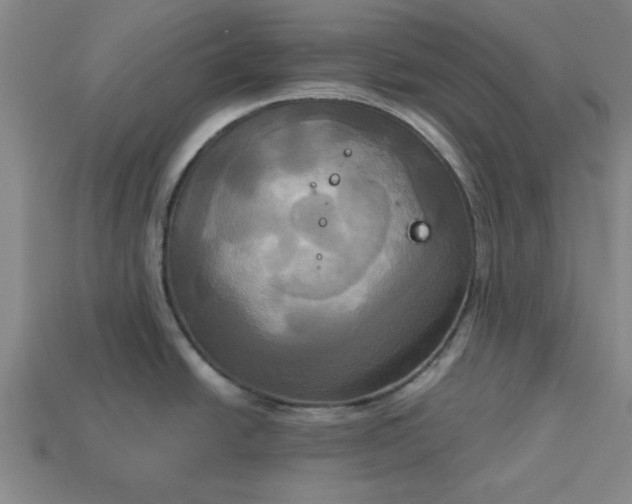 X0000113301438200910051033