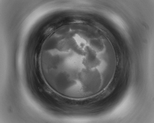 X0000113301439200910051033