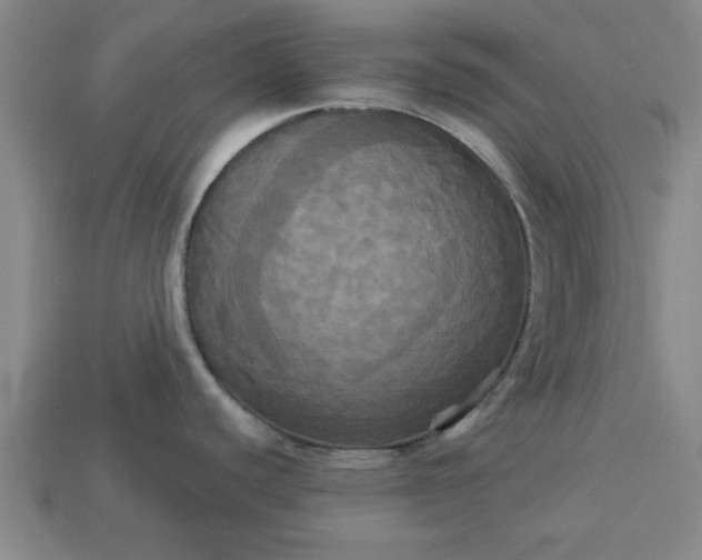 X0000113301440200910051033