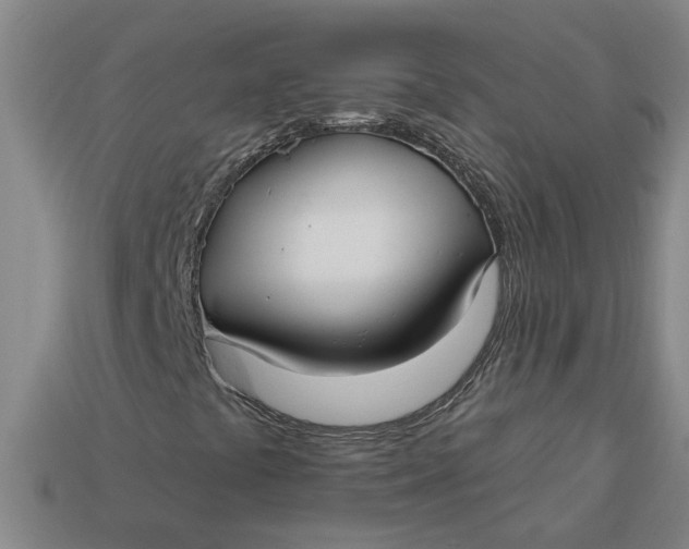 X0000113301441200910051032