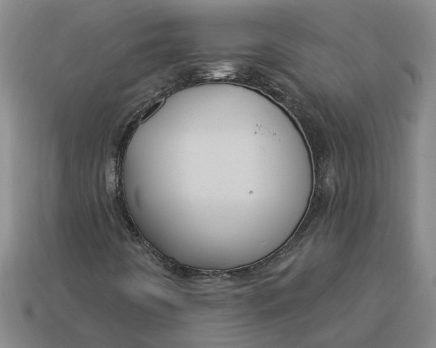 X0000113301442200910051032