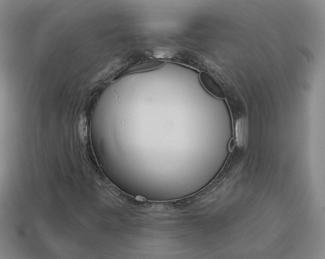 X0000113301443200910051032